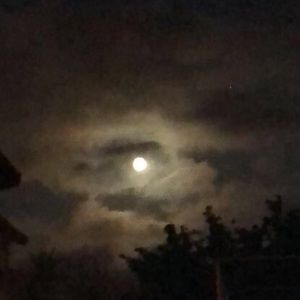 Meet your Posher, Annika